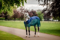 Horseware Signature Sport Cooler