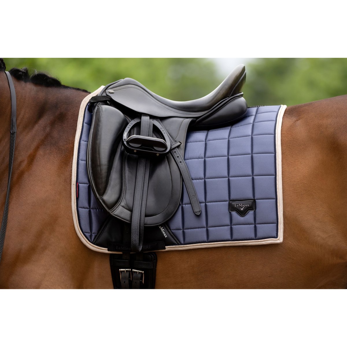 LeMieux Loire Classic Dressage Square Jay Blue