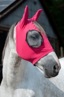 Anti-fly mask -Elastic-met rits