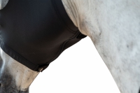 Anti-fly mask -Elastic-met rits