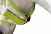 Anti-fly mask -Flamingo-