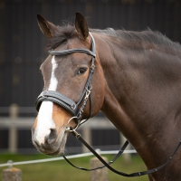Kaptoom hoofdstel Leder Comfort