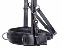Kaptoom hoofdstel Leder Comfort