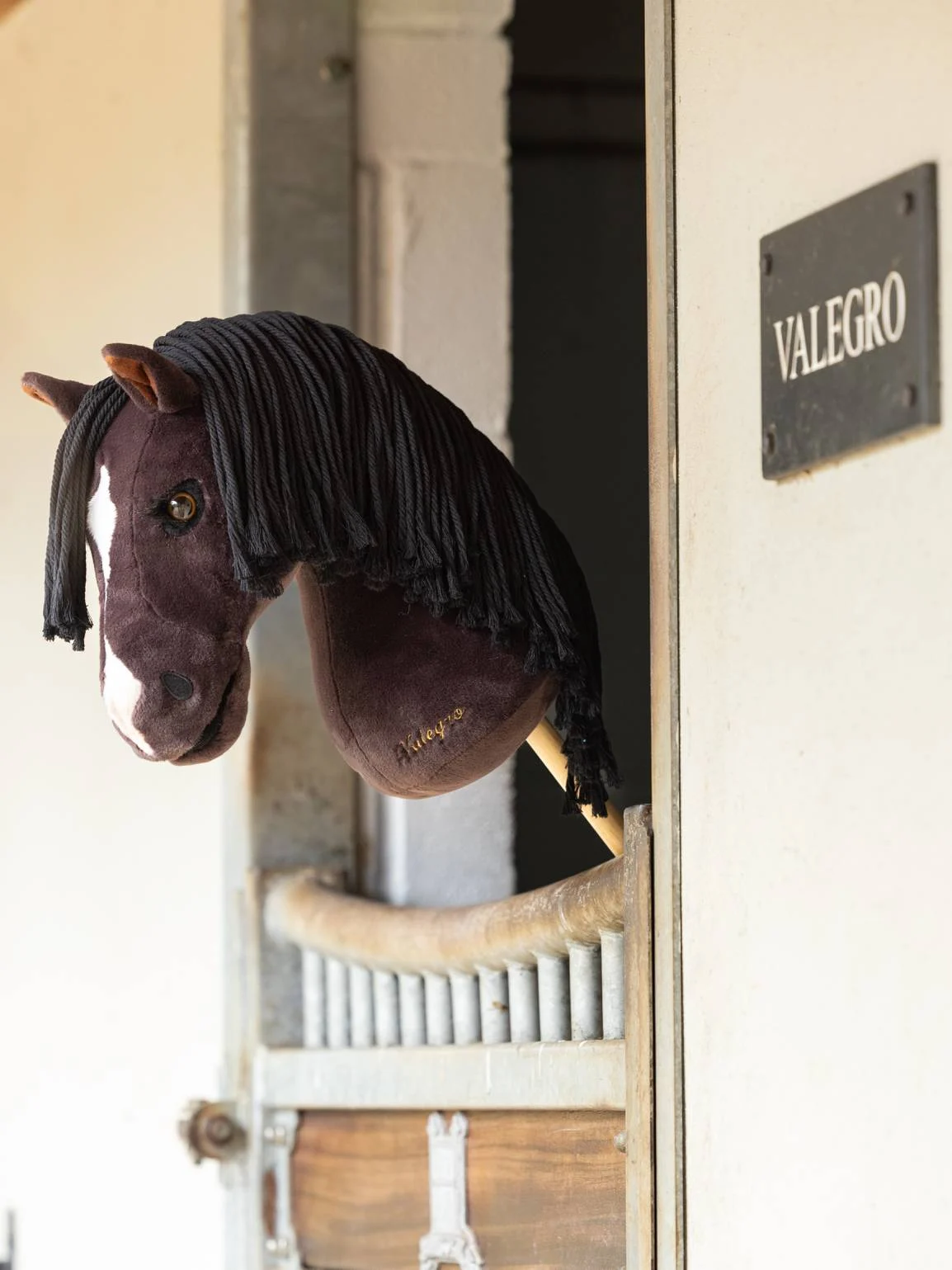 Hobby Horse Valegro