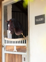 Hobby Horse Valegro