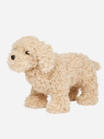 Toy Puppy Chester