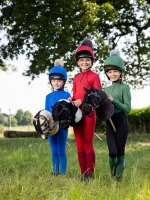 Hobby Horse Freya