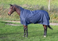 Regendeken Thor 200gr Highneck