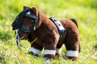 Longeerset - Cuddle Pony