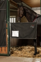 Stalgordijn -Team HKM- 110 x 60 cm