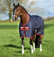 Rambo Original Turnout Med 200g