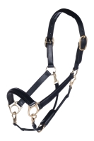 Lederen halster -Gold-