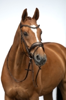 Hoofdstel -Ira-