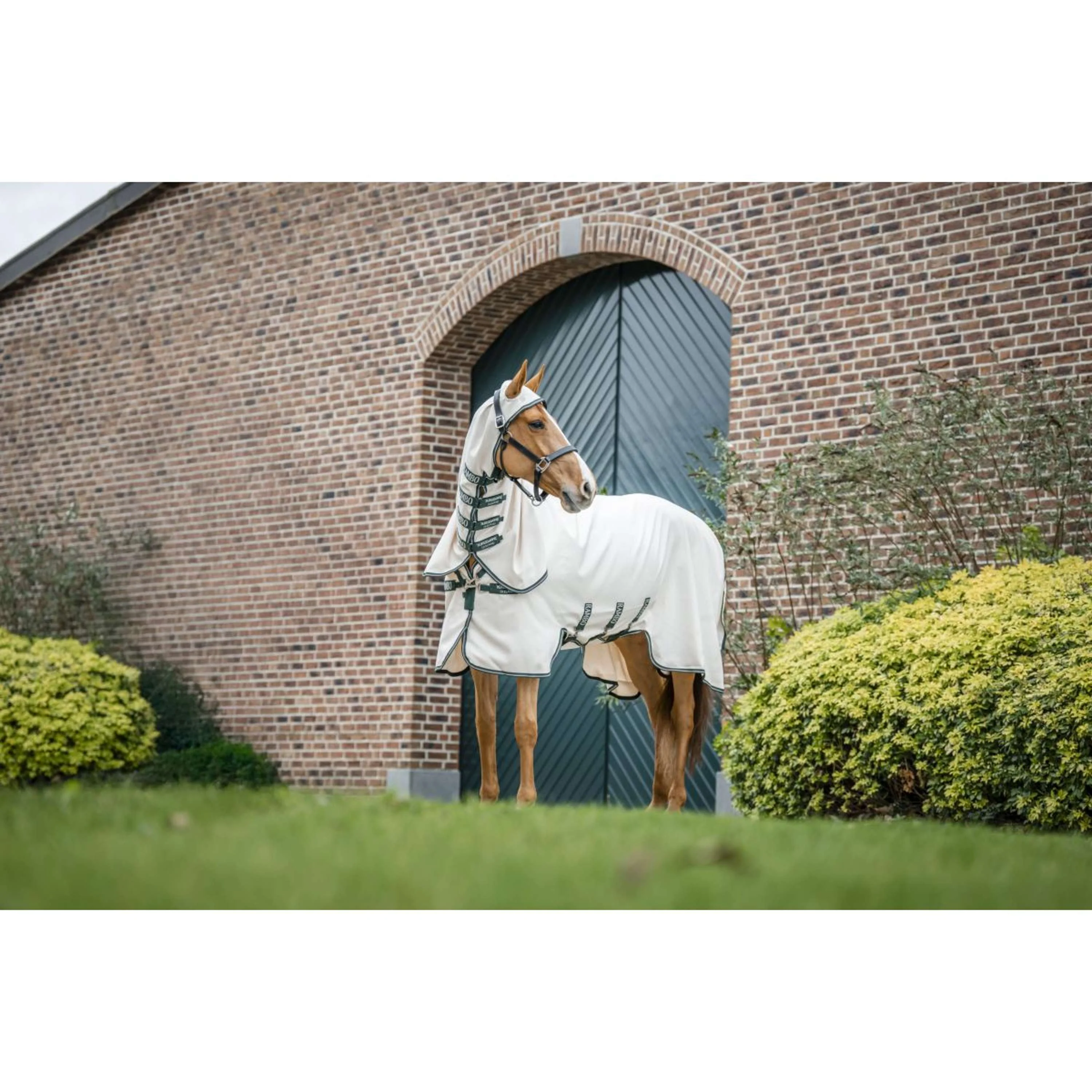 Horseware Rambo Hoody eczeemdeken