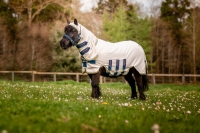 Amigo Ripstop Petite Hoody
