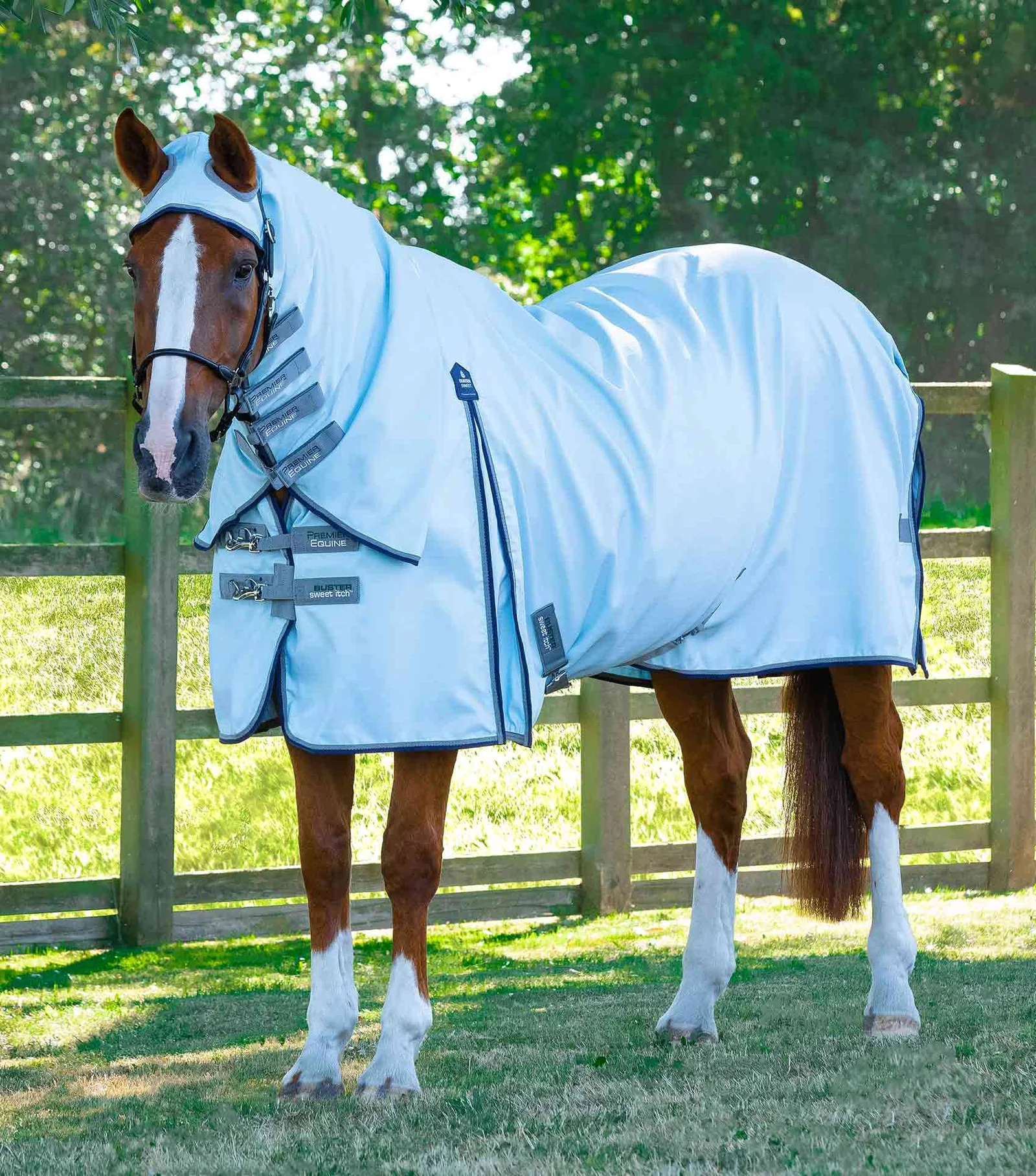 Premiere Equine Buster Sweet Itch Fly Rug with Surcingles Blue