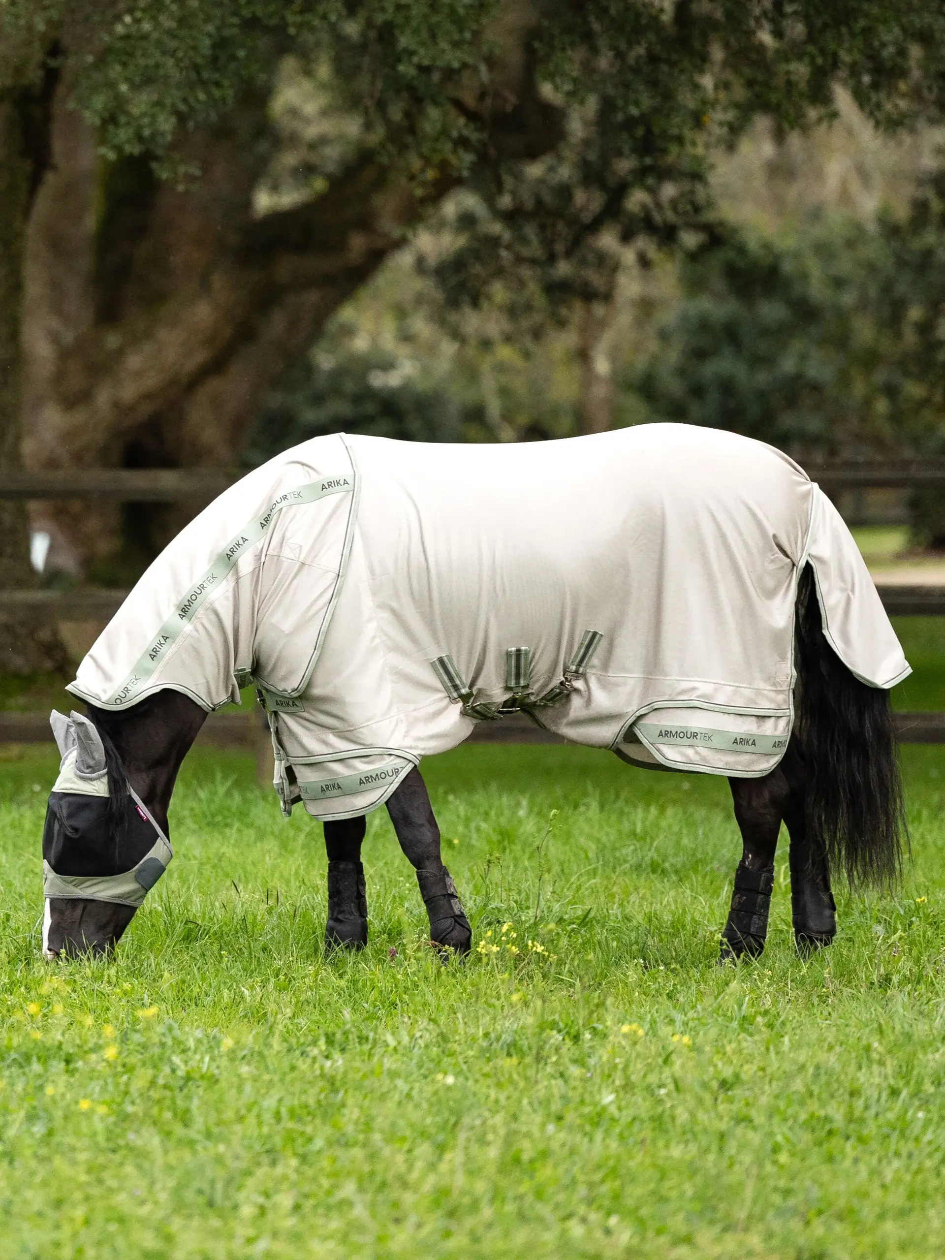 Arika Armour-Tek Fly Rug