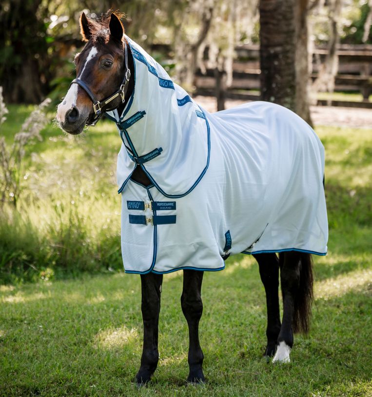 Amigo Bug Rug XL Plus