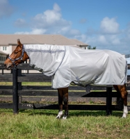 Amigo Bug Rug XL Plus