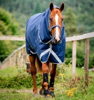 Amigo 1200D Plus Turnout 50g