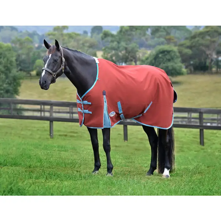 WEATHERBEETA COMFITEC ESSENTIAL STANDARD NECK LITE PLUS (50gram)