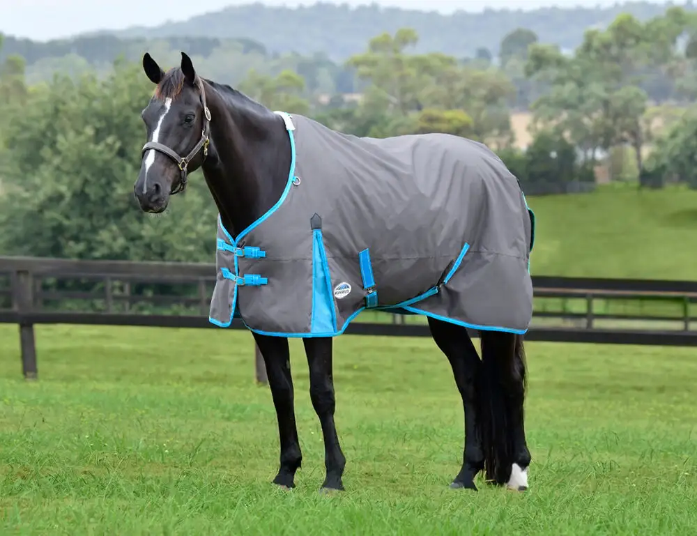 WEATHERBEETA COMFITEC CLASSIC STANDARD NECK LITE PLUS (50G)