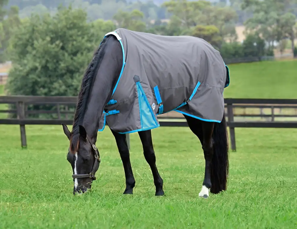 WEATHERBEETA COMFITEC CLASSIC STANDARD NECK LITE PLUS (50G)