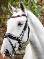 Horseware Diamante Flash Bridle