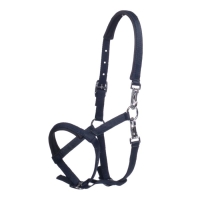 Veulenhalster -Millie-