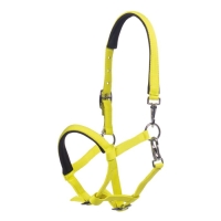 Veulenhalster -Millie-