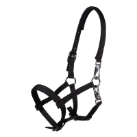 Veulenhalster -Millie-