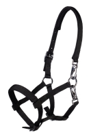 Veulenhalster -Millie-