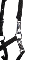 Veulenhalster -Millie-