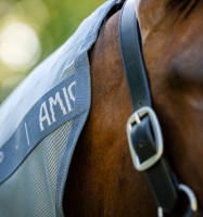 Amigo integrated Fly Sheet