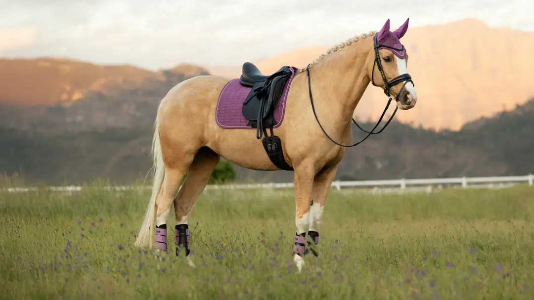 Lemieux 26SS Suede 26SS Suede Dressage Square