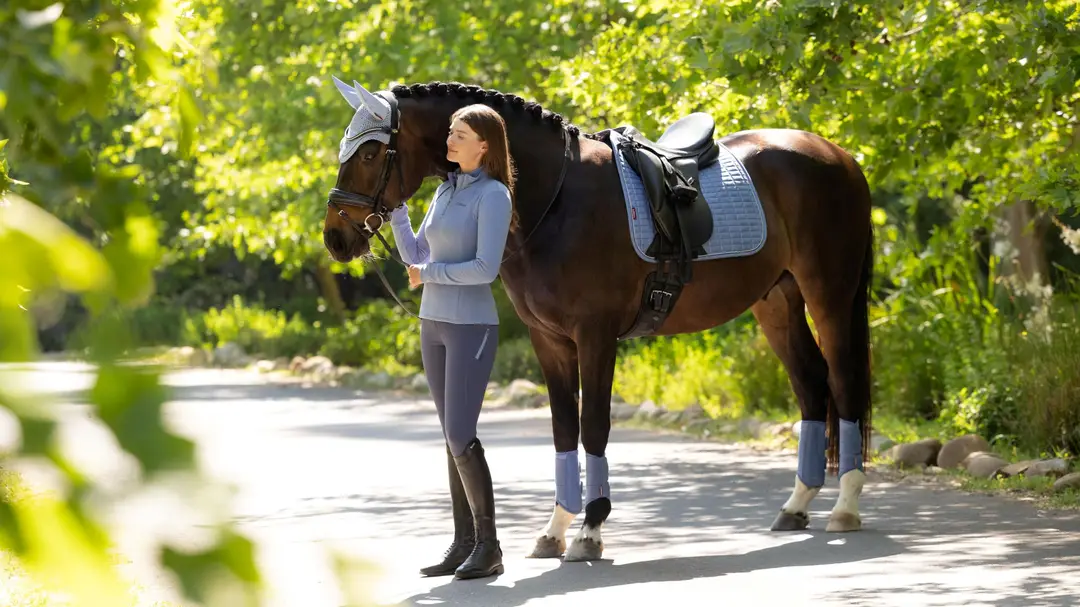 Lemieux 26SS Suede 26SS Suede Dressage Square