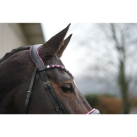 Hoofdstel -Manchester-