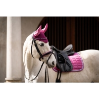 Hoofdstel -Manchester-