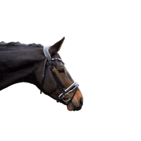 Hoofdstel -Manchester-