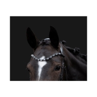 Hoofdstel -Manchester-