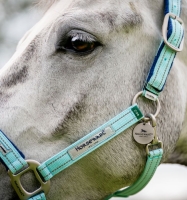 Horseware Signature  FieldSafe Headcollar